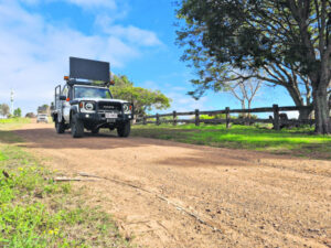 Council targets roadside fire ant nests