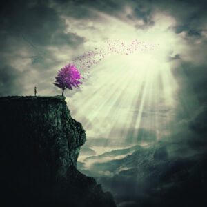 The Beauty of Life – My Last Set of Tyres