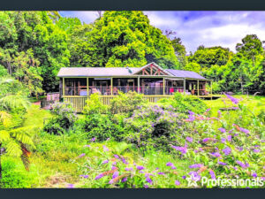 Mountain home designed for the climate and to take in the views