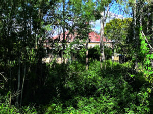 More than a century of heritage to make way for rail line