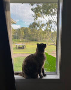 Little Snappers show off photography skills