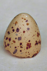 The Beauty of Life – Walking on Eggshells