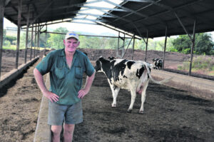 Australia’s dairy industry is recovering from ‘perfect storm’. What about Queensland?