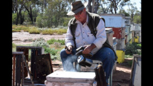 WAXING LYRICAL ABOUT BOXES OF BEES