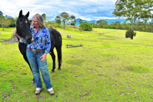 Power of horses helps heal hearts and minds