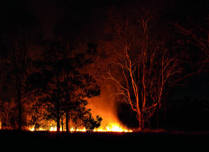 Rural firies takes issue with new fire trucks