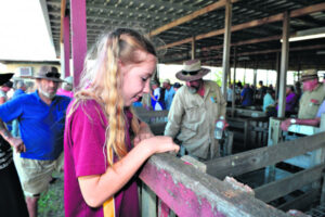 ‘There are people I’m never going to see again’: Beaudesert saleyards’ last day