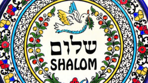 The Beauty of Life – Shalom