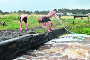 Floods reveal extent of pest fish deluge