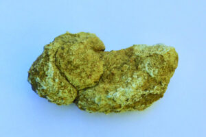 The Beauty of Life – Old Bones and Poo