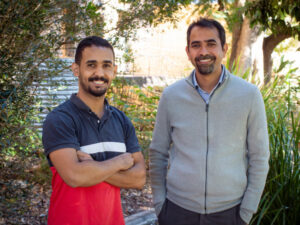 Weeding out what’s good for bioenergy