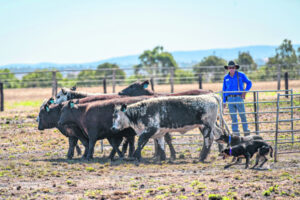 Grant boost for club brand