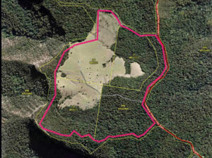 Luxury cabins on the drawing board for O’Reilly Farm