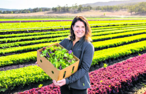 Collaboration key for growers in peak body roadmap