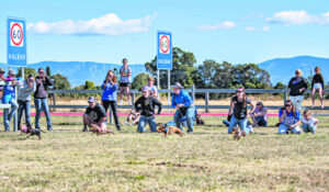 Get, set and away they go-go