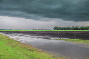 Cancelled, The Long Sunset beset by severe storm warnings