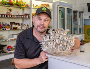 Finding the magic in mushrooms