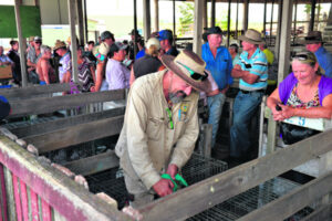 Heritage battle cost ratepayers almost $250,000