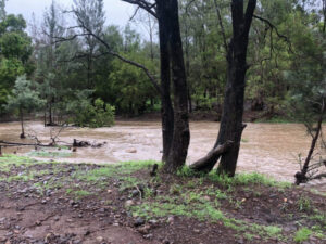 Rain ‘refresh’ in creeks