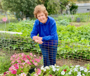 Grow for show, potted petunias bring colour to events