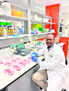 Plum perfect, bushfood extends meat shelf life