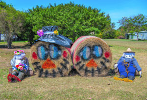 Country festival brings stalls, hay sculptures, carrot comp and Deja Vu