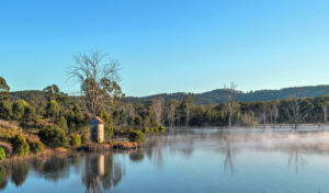 Wyaralong a key to drinking water for SEQ – Premier