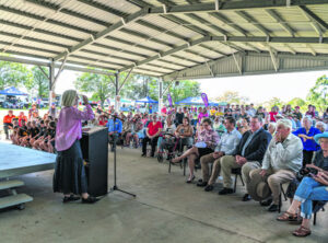 A fabulous day and a fabulous celebration