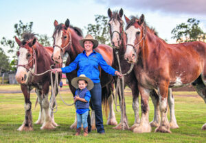 Council support for heavy horse event