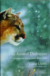 The Beauty of Life – Puma … “in the presence of the Absolute”