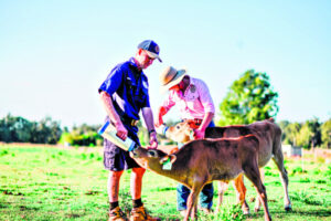 Learn from the leading lights of holistic farming