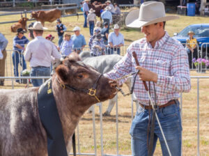 Boonah grazier hopes for another win