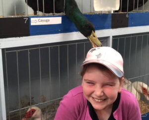 Happy little cluckers and cheeky chooks on display