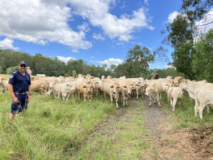 Inmates taste freedom through slow release farm program