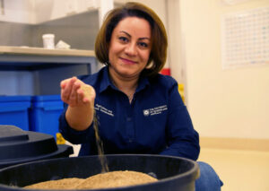 The ‘clucky’ country, new formula for a sustainable industry