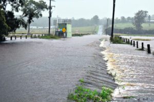 Survey launched to inform flood inquiry