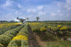 Developing robots, drones and AI for the agricultural space