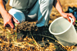 Future fit soil action plan industry consultation