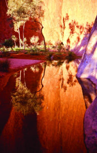 The Beauty of Life – Finlayson