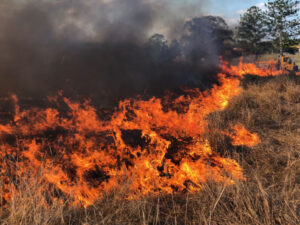 Two fires to Ipswich’s north and south