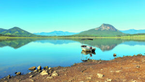 Fishing grants program opens for councils, community and industry