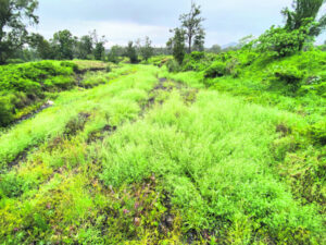 Dry creek bed to a banker: A nine minute rush
