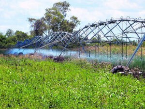 Agribusiness Roadmap released