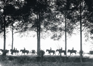 Boonah brothers in Service