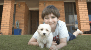 Ipswich, Scenic Rim residents living with disability get help accessing NDIS