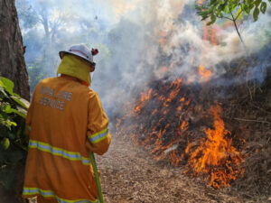 Study finds bushfire smoke inhalation could age cognitive function by 15 years