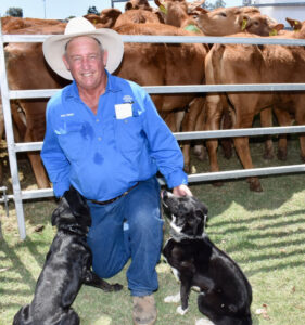 Australian leading working dog trainer trials at Boonah