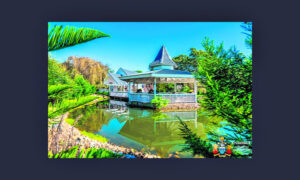 Mountain top views, tourism venue, boutique brewery and large home