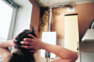 Hot and muggy, mould makes everything worse