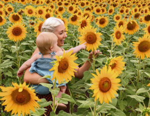 Mater cancer research to be boosted by Sunflower Festival